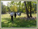 Pomana-u-Neresnici-2008-20.jpg